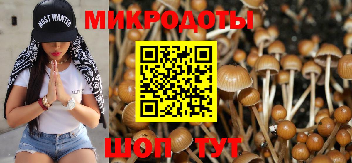 Галлюциногенные грибы Magic Shrooms Сертолово
